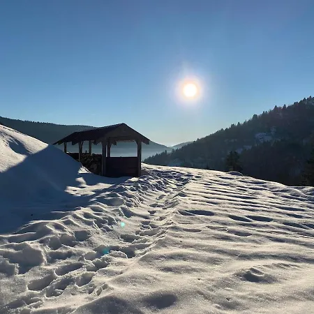 At 800m, Sauna, Bathing Pond Chalet *
