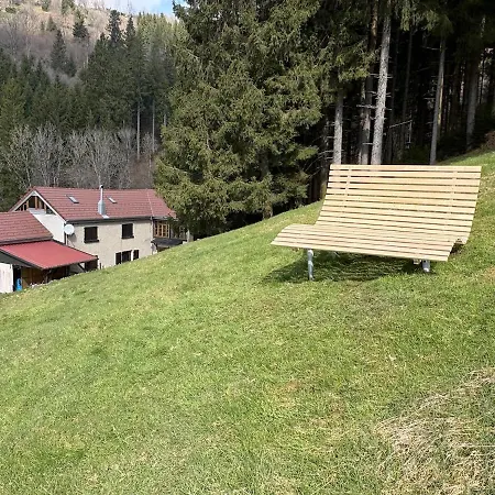 At 800m, Sauna, Bathing Pond