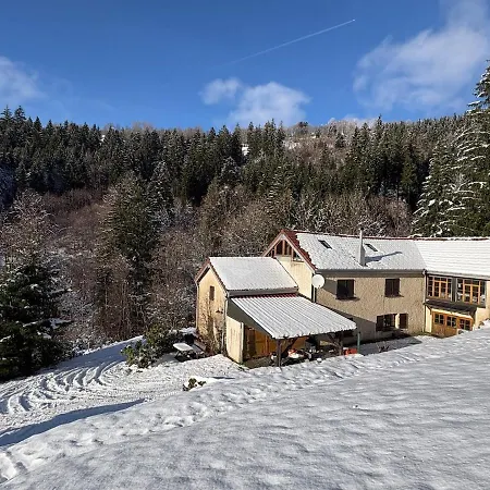 At 800m, Sauna, Bathing Pond Chalet