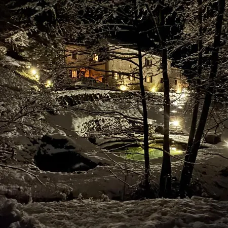 At 800m, Sauna, Bathing Pond Chalet
