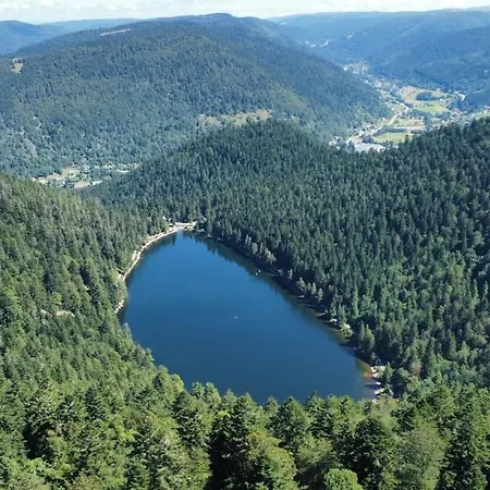 At 800m, Sauna, Bathing Pond Cornimont
